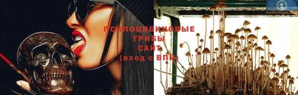 кристаллы Карпинск