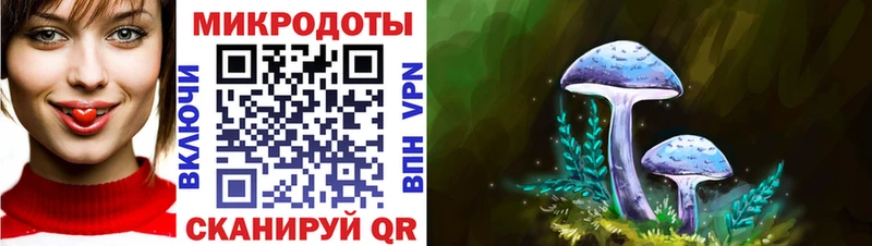 как найти наркотики  Княгинино  Псилоцибиновые грибы Magic Shrooms 