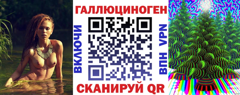 Псилоцибиновые грибы Cubensis Княгинино